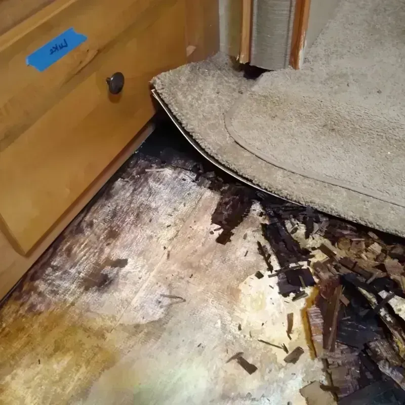 Wood Floor Water Damage in Morris County, NJ